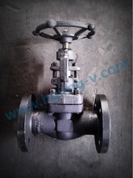 API/ANSI forged steel A105 flange gate valve